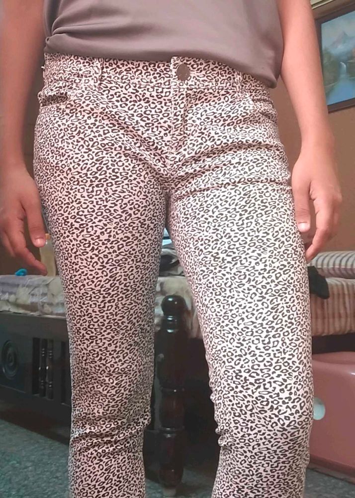 Animal Print Pants