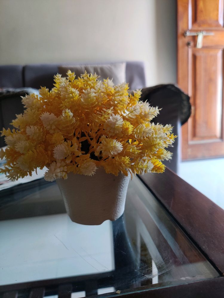 Artificial Flower Pot Yellow And White Colour