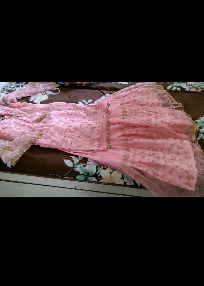 Sharara Suit