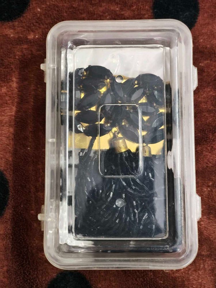 Black Tassel Earrings in Case