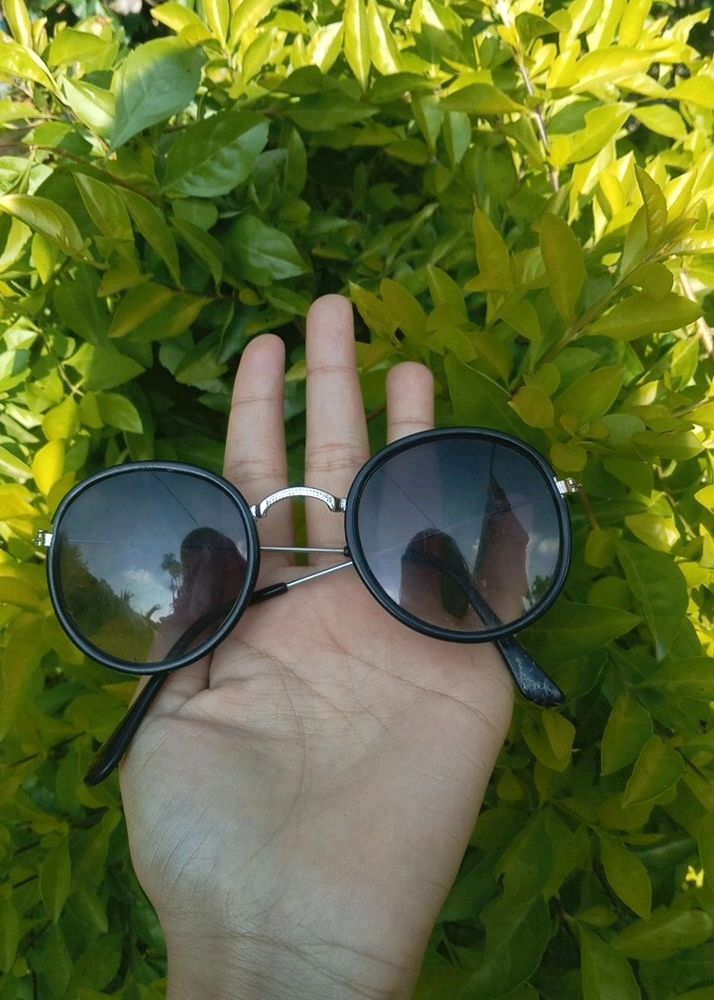 Sun Glasss