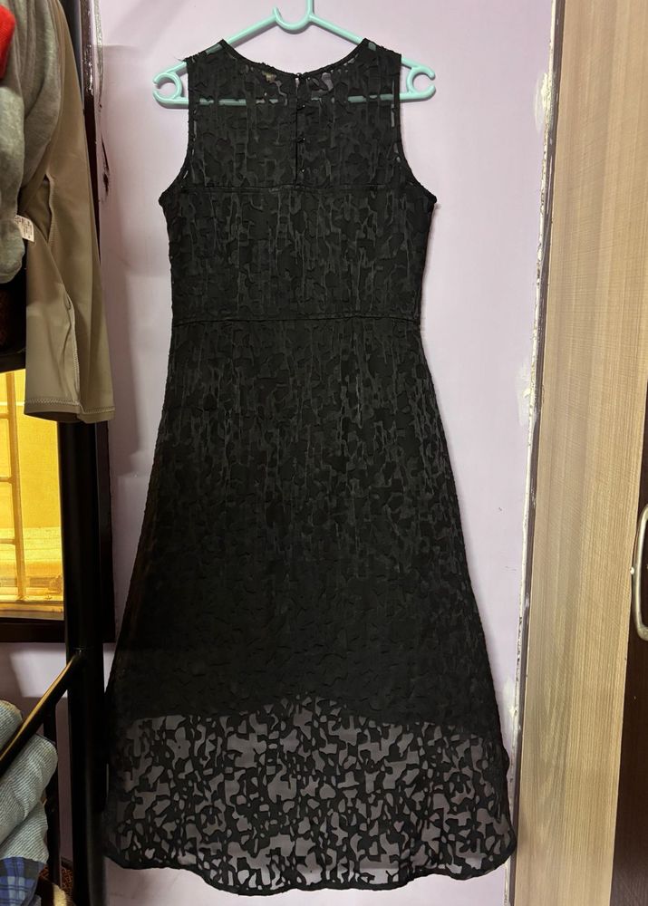 Elegant Black Lace Dress