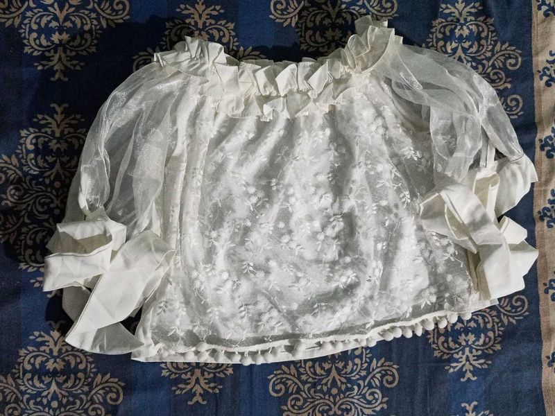 Lace &amp; Ruffle Sheer Top