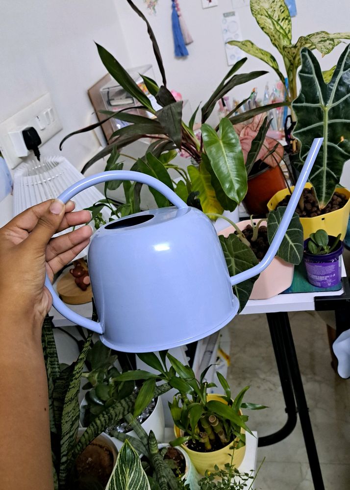 Metal Watering Can For Plants And Gardening