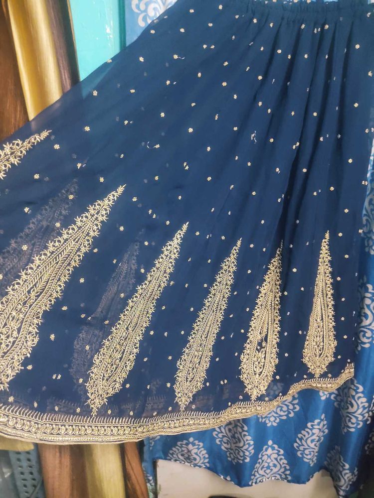 Elegant Blue Ethnic Skirt