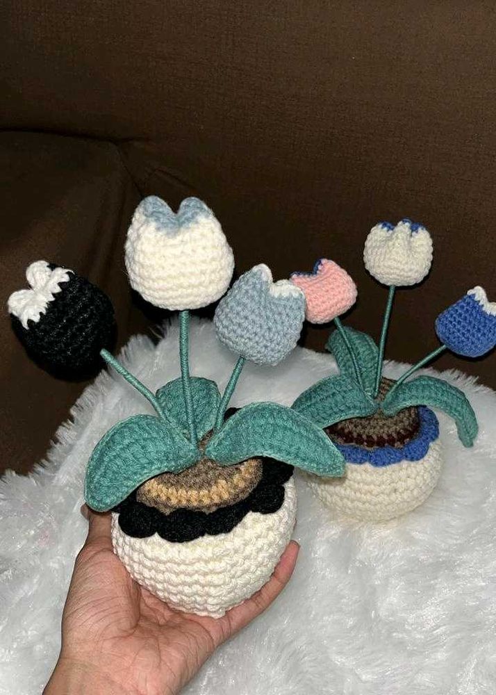 Crochet Tulip Plant Decorations Any One