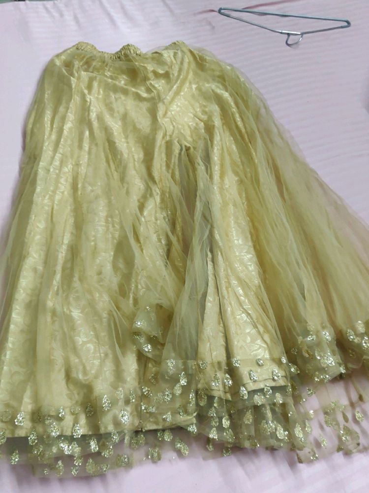 It&#39;s A Very Pretty Golden Net Flaired Bottom .