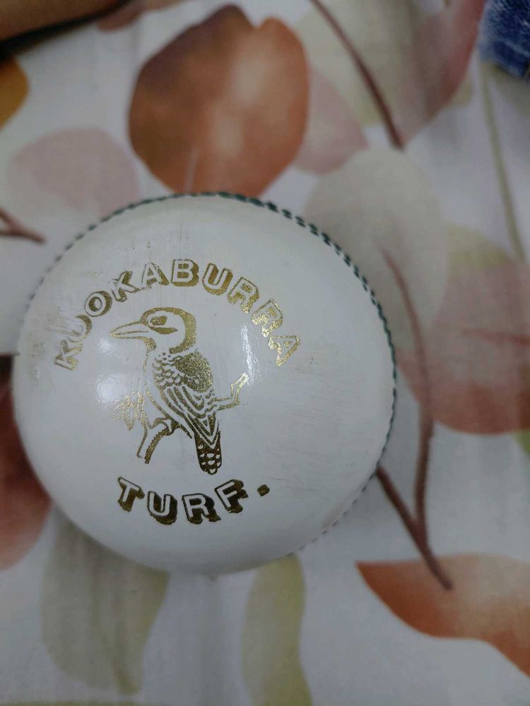 Kookaburra Turf Cricket Ball