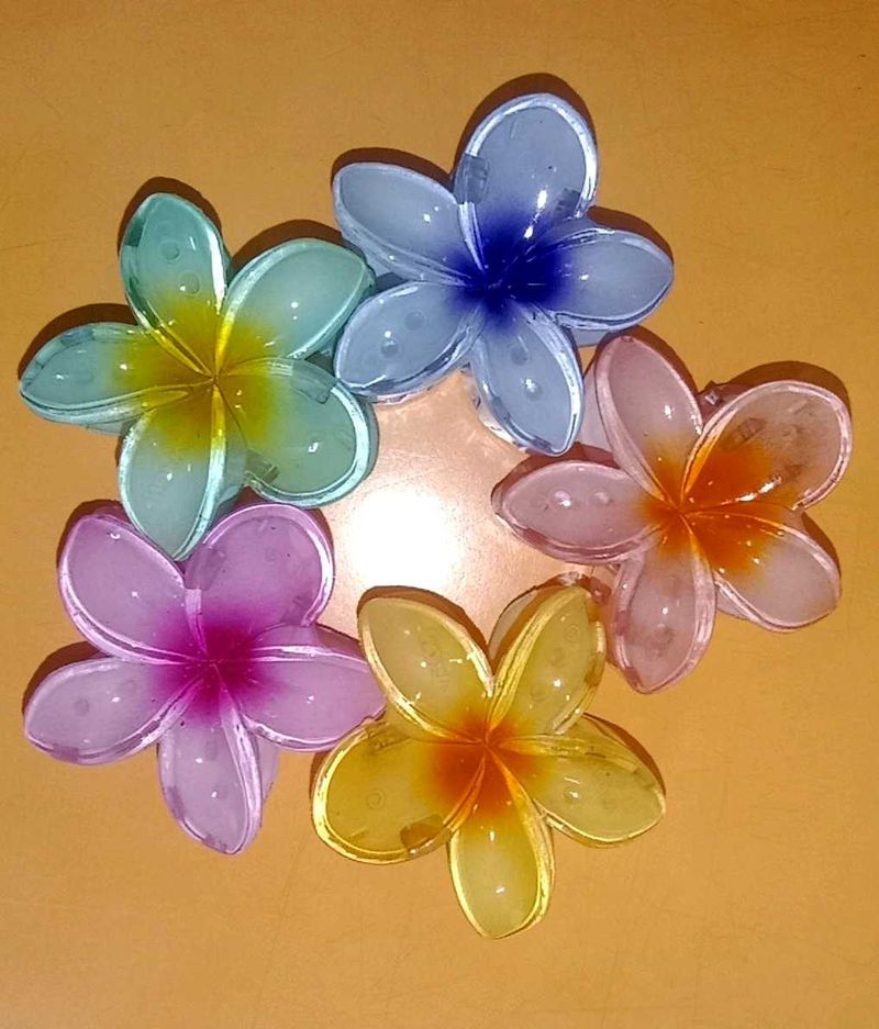 Flower Hair Clips🌸🌼