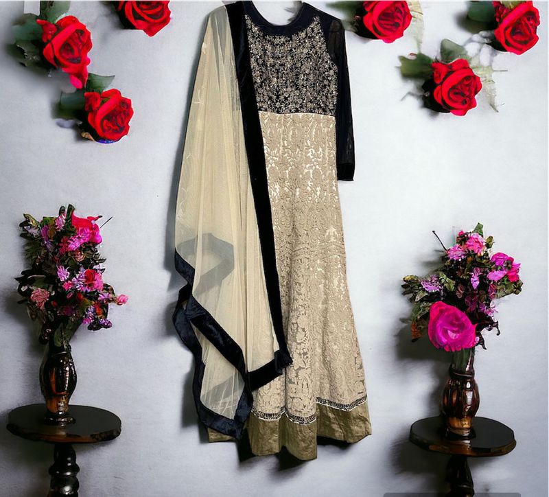 Beautiful Worked Gown