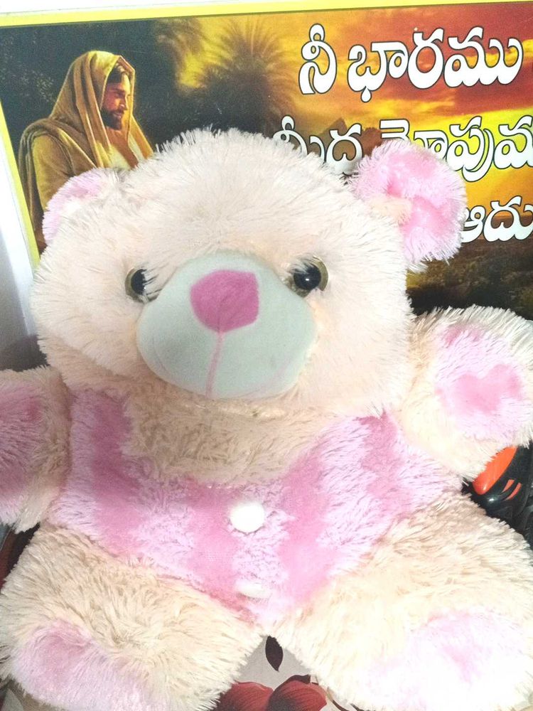 Cute Plush Teddy Bear