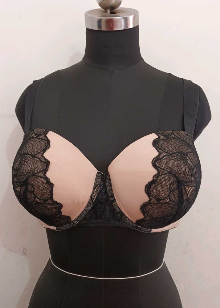 Padded Branded Bra 40E