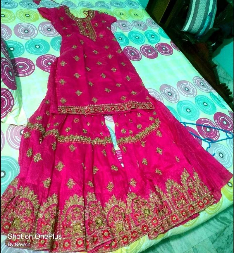 New Beautiful Sharara Set