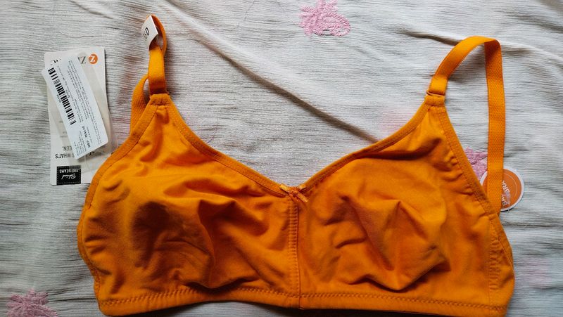 Women Zivame Double Layered Bra