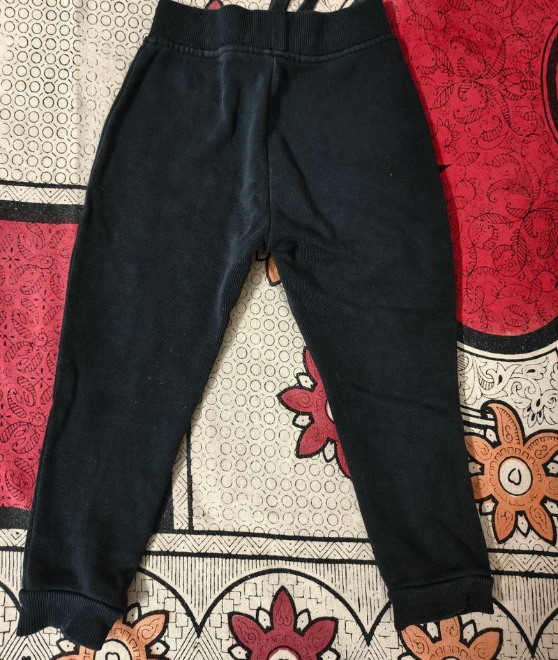 Cotton Pant