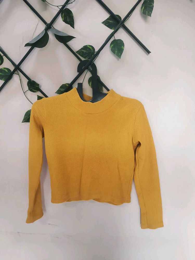 Mustard Yellow Korean Style Swetshirt/Crop Top