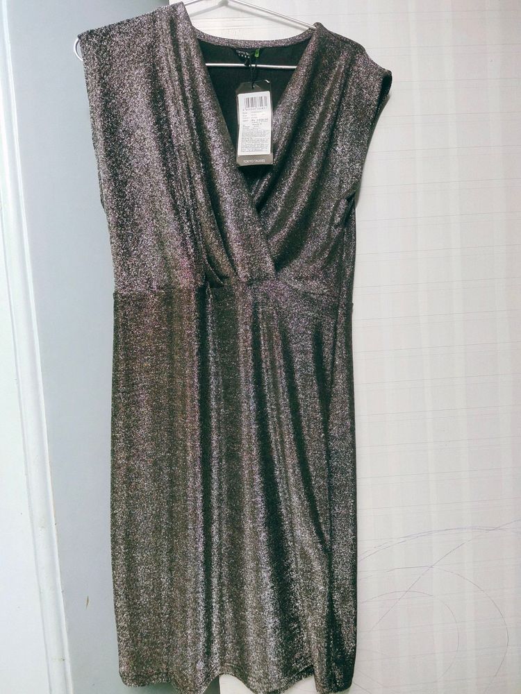 Sparkly Silver Sheath Dress........