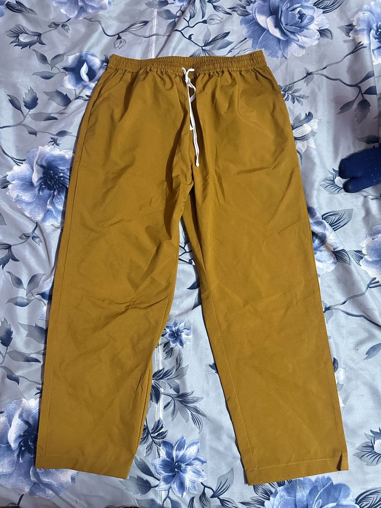 Mustard Casual Pants
