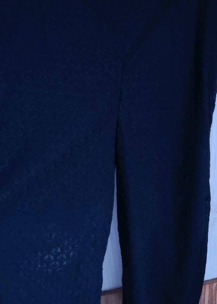 Net Plazzo Pant