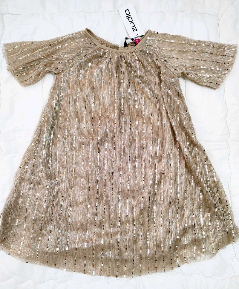 Zudio Sequin Party Dress