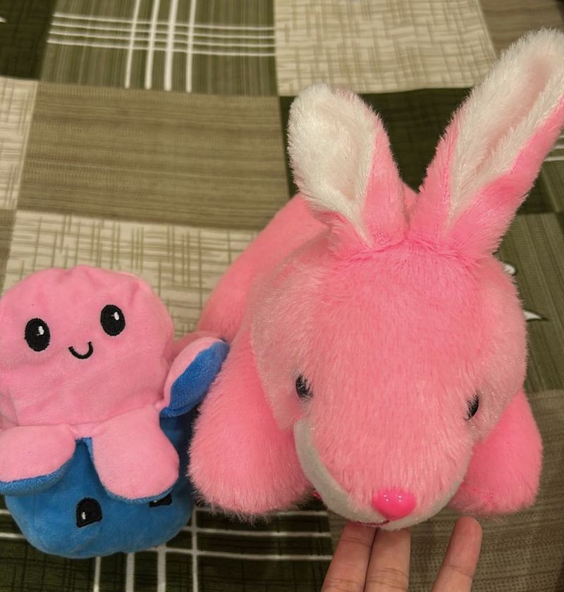 Plushies Set (2)