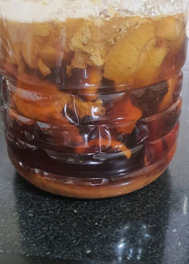 Home Made Bioenzyme
