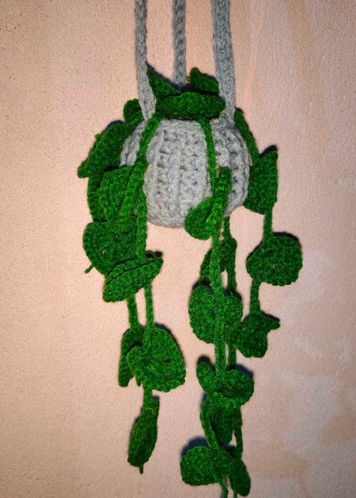 Crochet Hanging Plant☘️