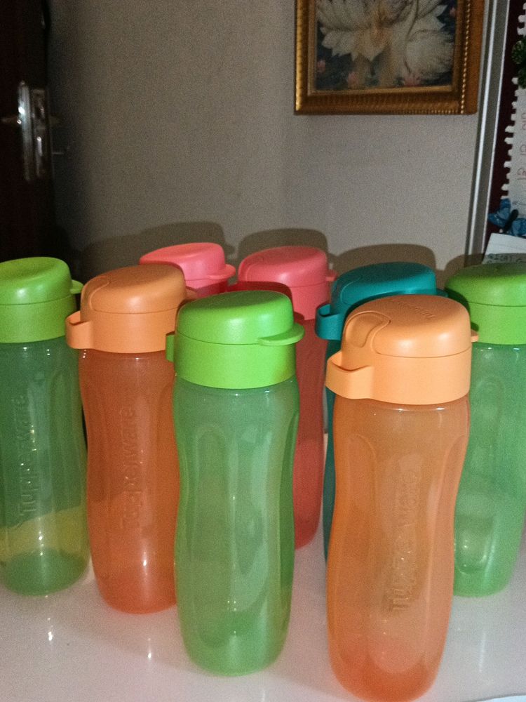 Combo Of 6 Tupperware Water Bottle
