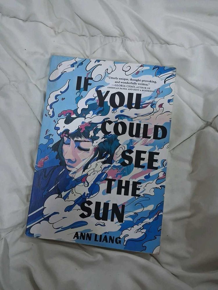 If You Could See the Sun