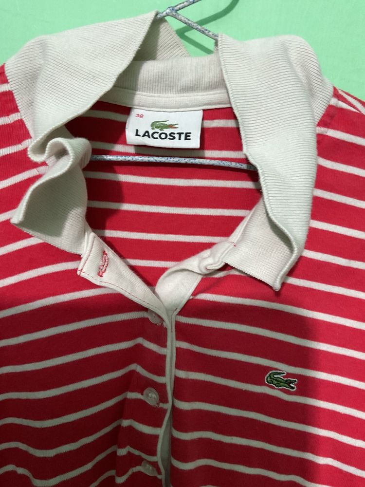 Striped Lacoste Polo Top