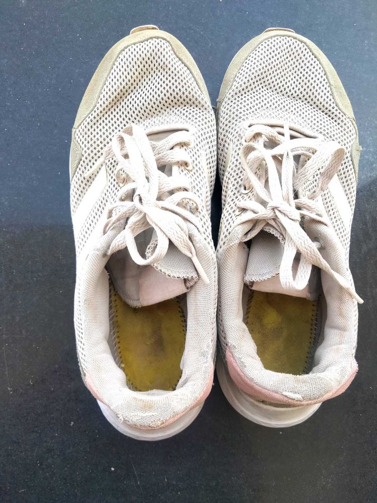 Adidas Shoes