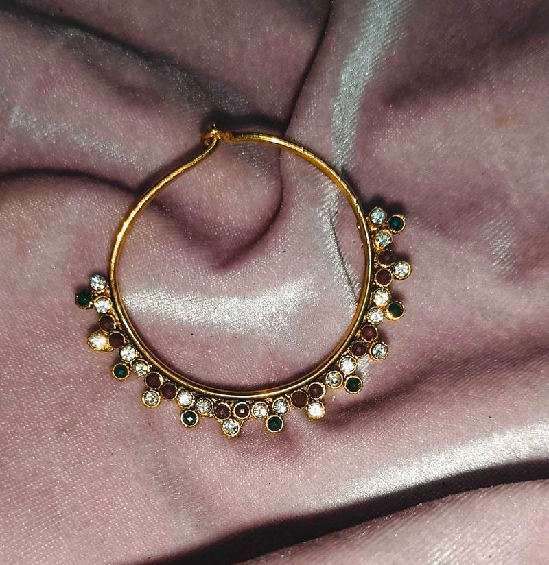 Hoop Nose Ring