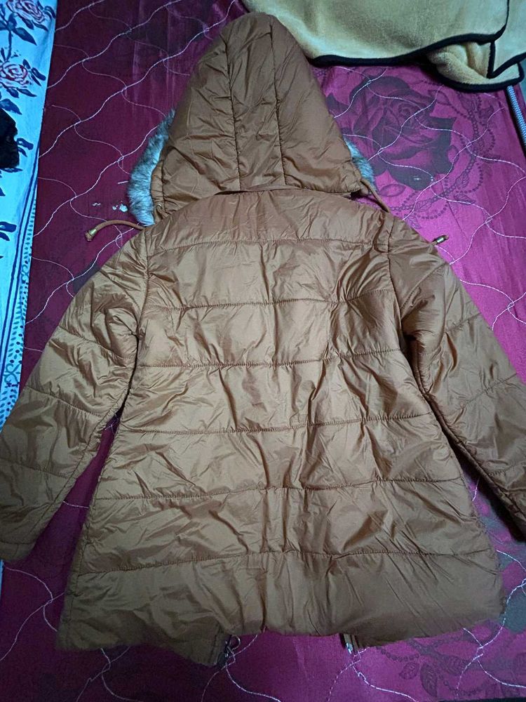Brown New Puffer Jacket