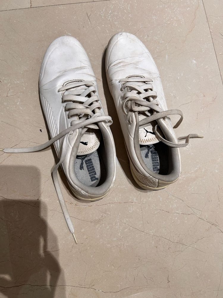 Puma White Everyday Sneakers - Used