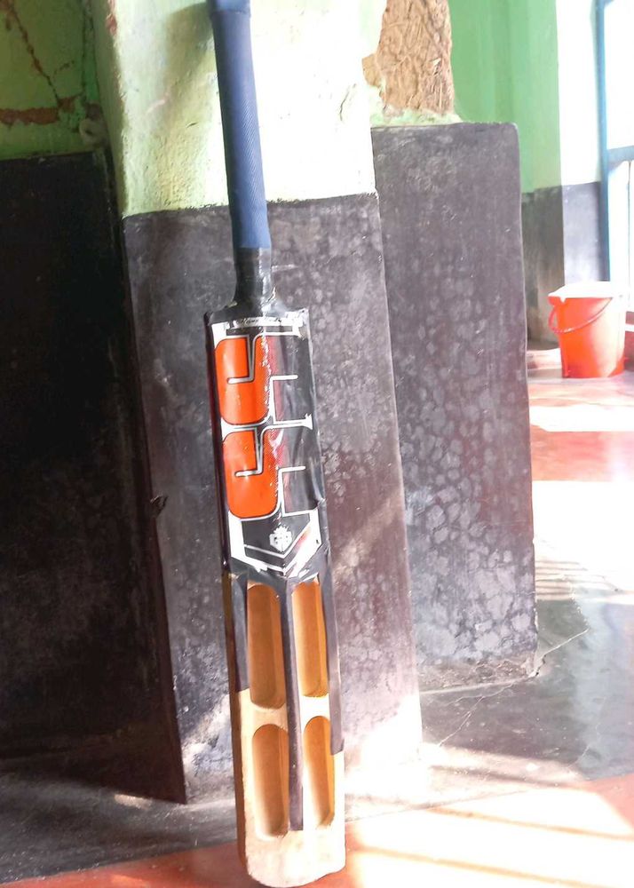 This Very Good Bat