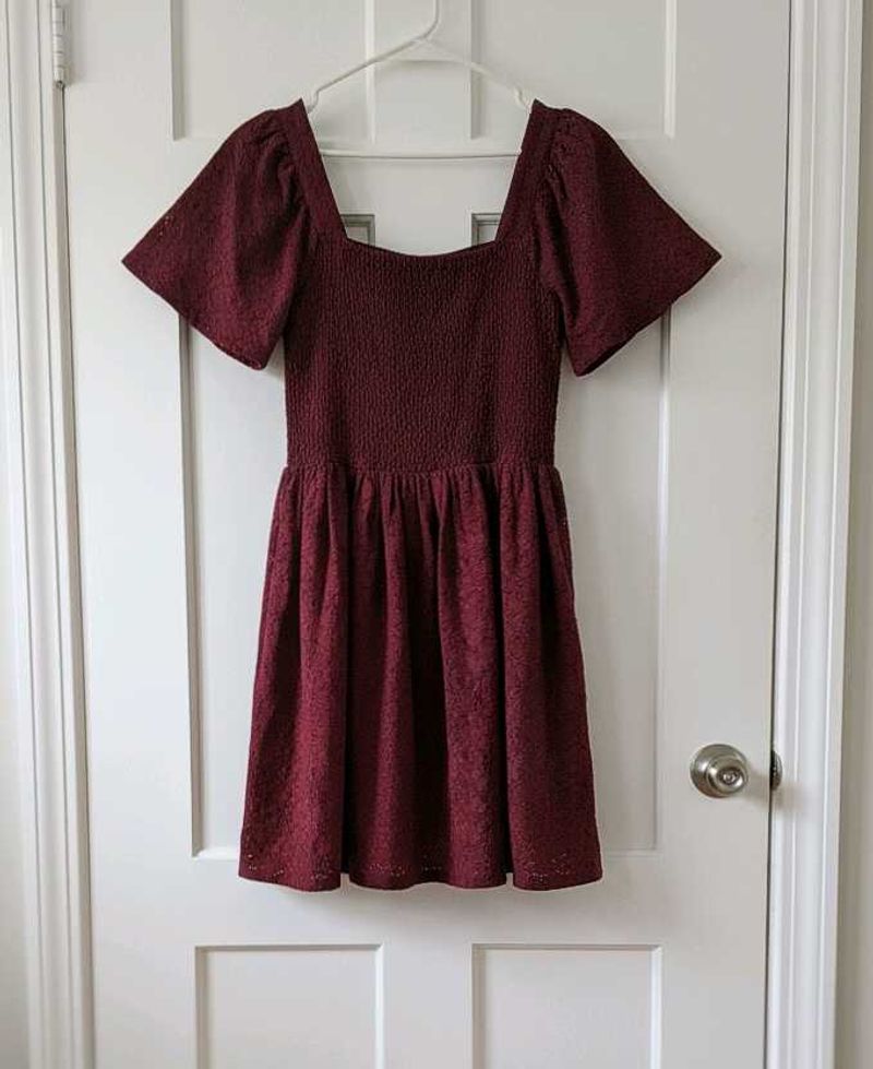 Lace Skater Dress with Smocked Yoke