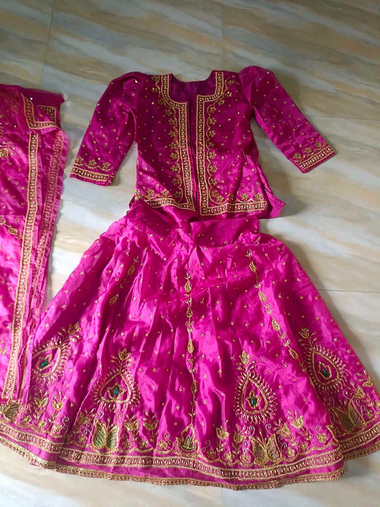 Rajputanni Handwork Pink  Lehenga Choli