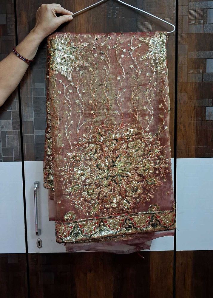 Beautiful Organza Saree