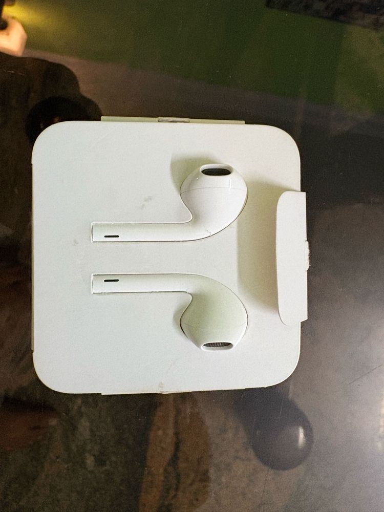 Apple lightning earphones