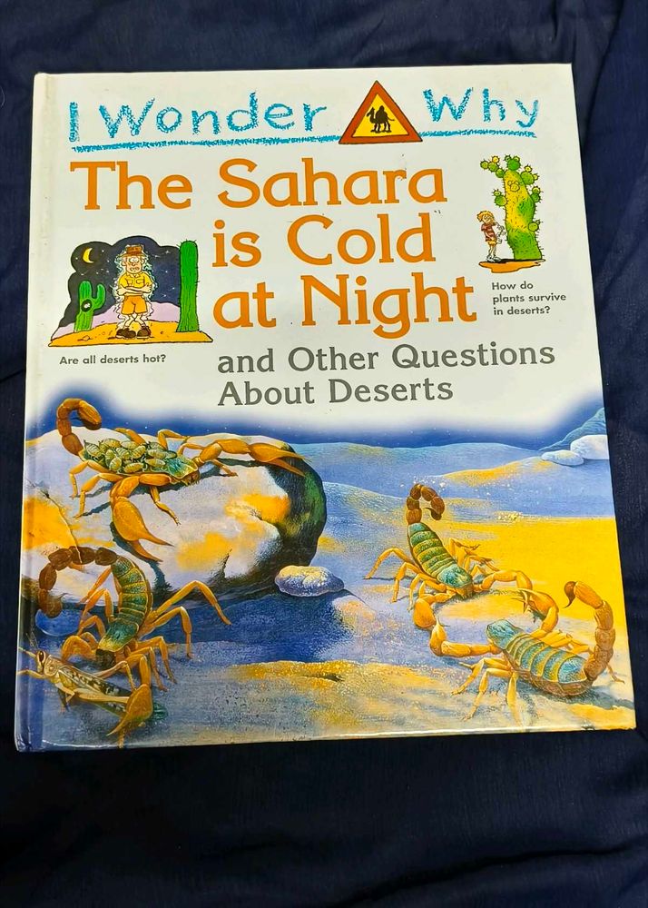 I Wonder Why Children's Book