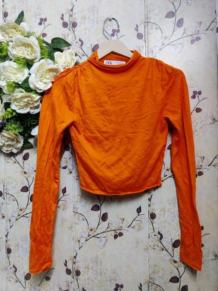 Turtleneck Long Sleeve Zara Crop Top