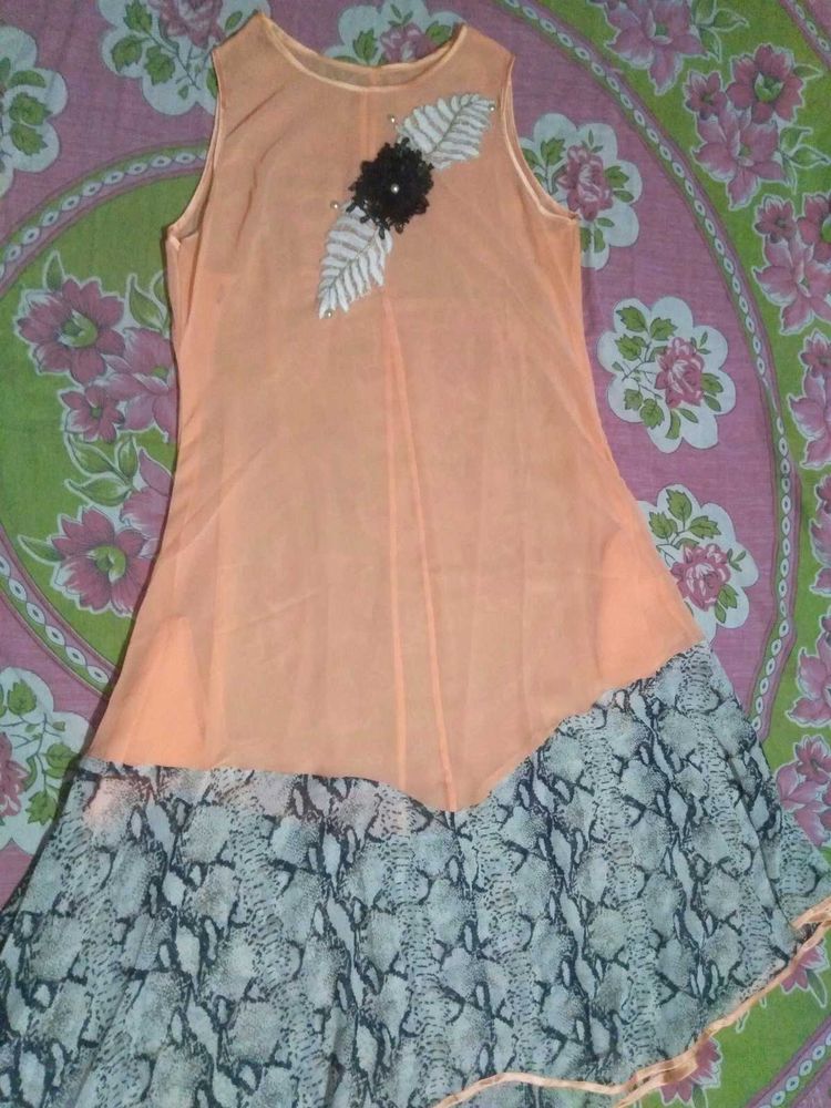 Women&#39;s Dress