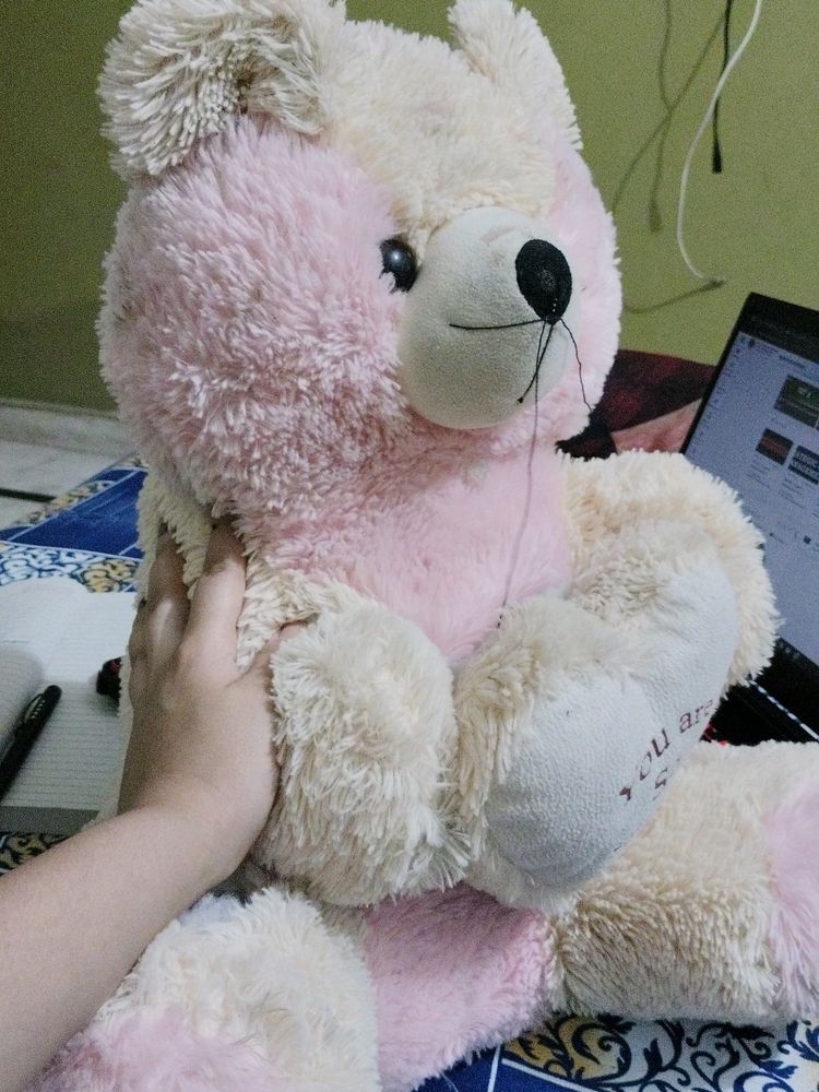 Huge teddy bear