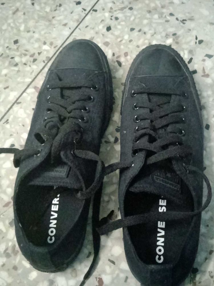 Converse Sneakers