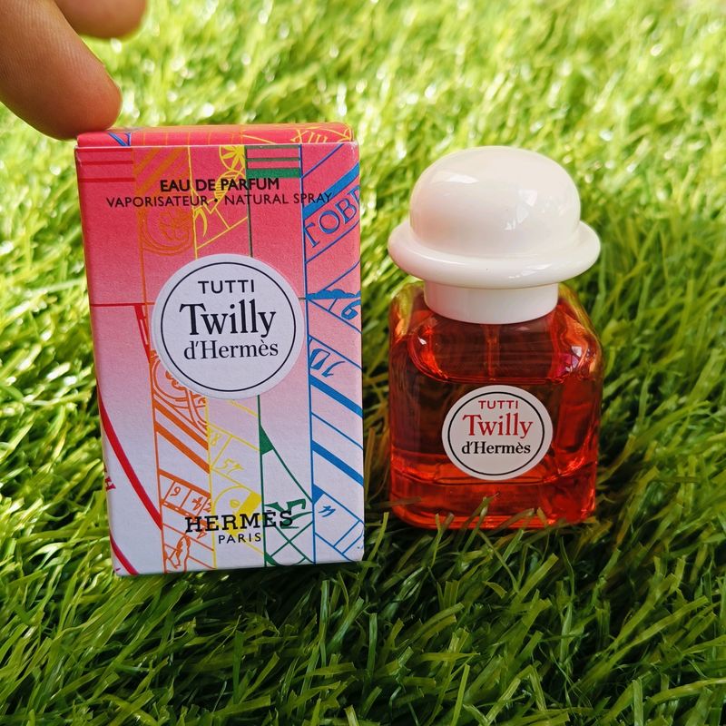 Hermes Tutti Twilly D&#39;hermes