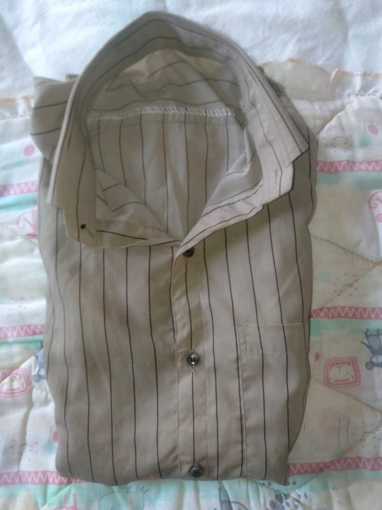 Striped Button-Down Shirt