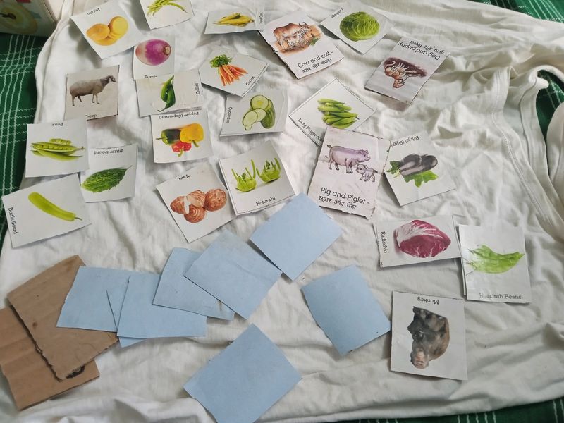 Flash Cards
