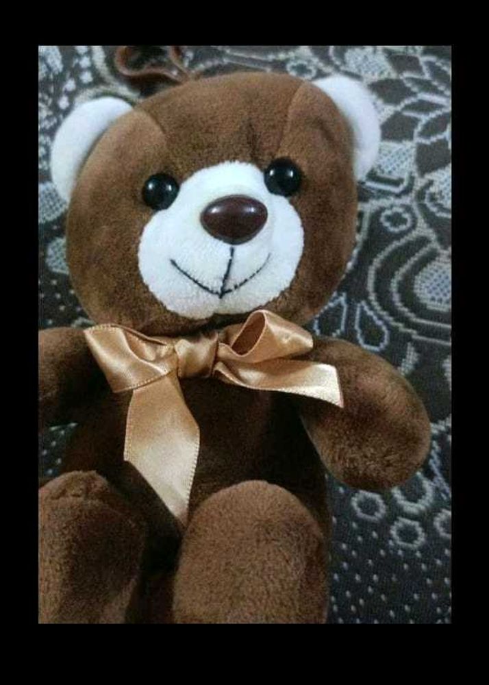 Teddy Cute and Premium