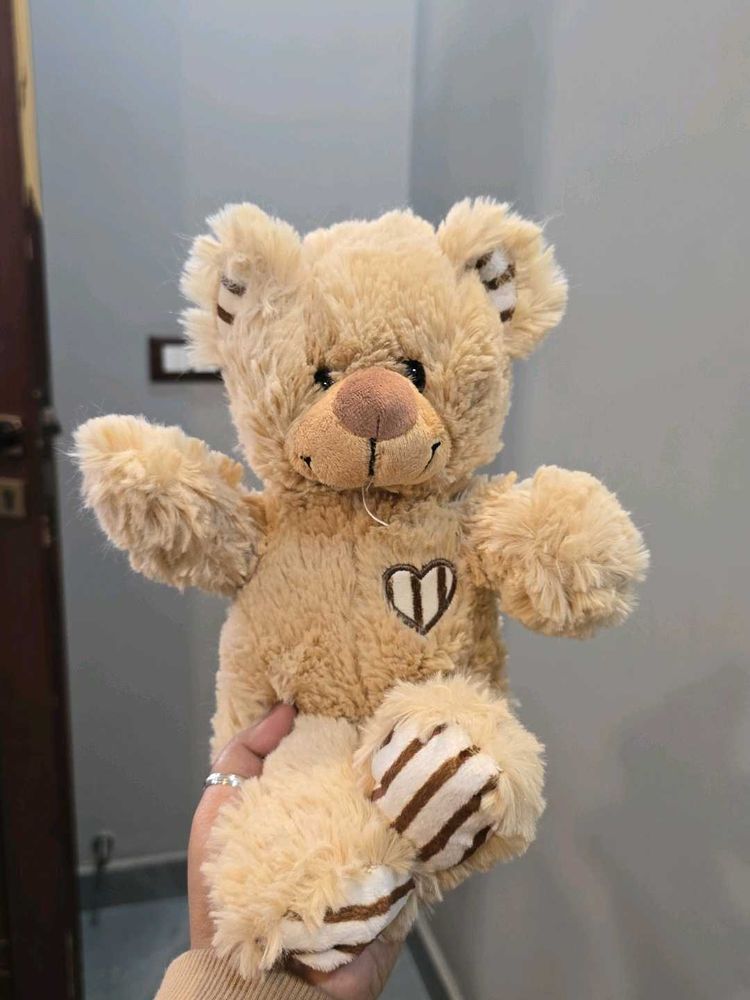 Cute Teddy Bear