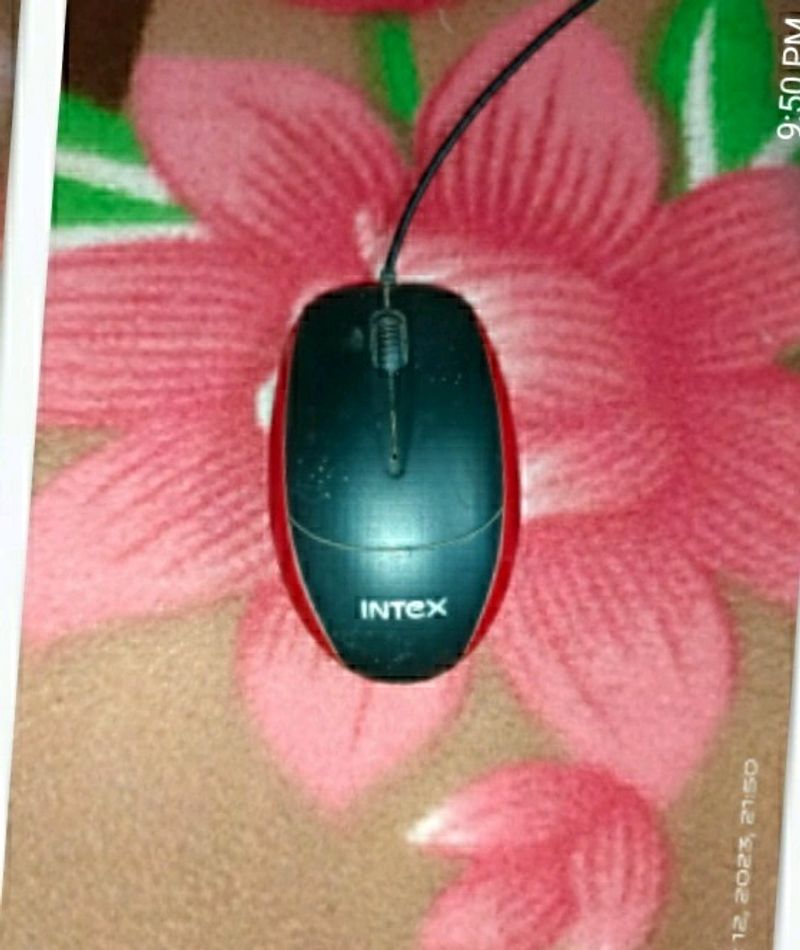 Mouse